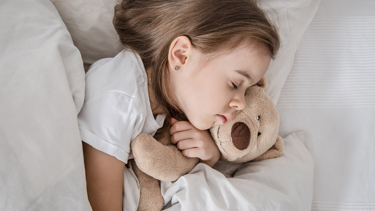 Az alvás természete